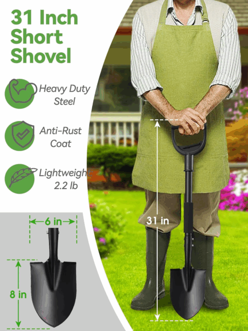 Shovel, 31 inch Small Shovels for Digging Gardening, Camping, Off Road, Kids Sand Beach Spade with Round Point Blade, D-Handle, Comfort Grip, Metal Mini Garden Shovel Heavy Duty, Rust-Proof - Image 2
